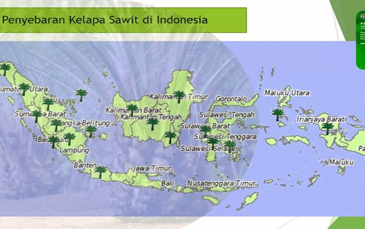 Inovasi Pengolahan Limbah Kelapa Sawit untuk UMKM