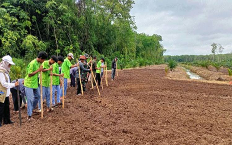 Tanam Perdana Padi Gogo di Desa Anjir Kalampan
