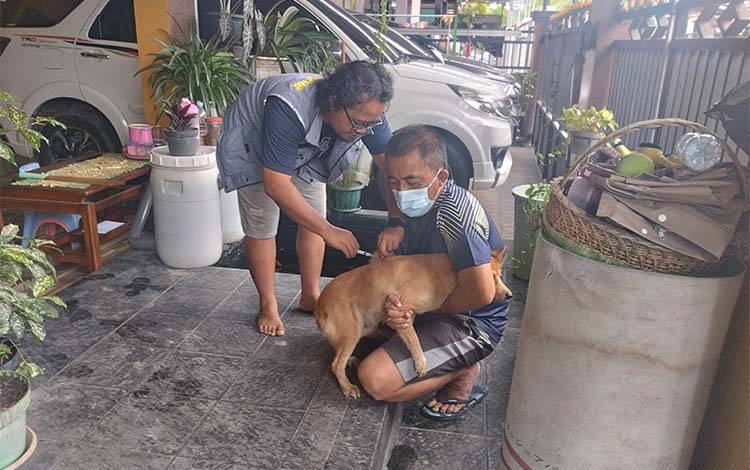 Populasi HPR di Palangka Raya Capai 10.162 Ekor, Vaksinasi Rabies Ditargetkan 80 Persen