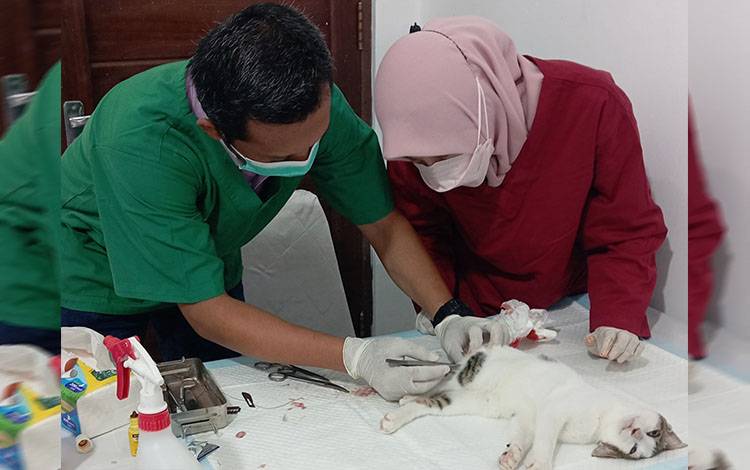 Capaian Vaksinasi HPR di Palangka Raya Hingga September Baru 51 Persen