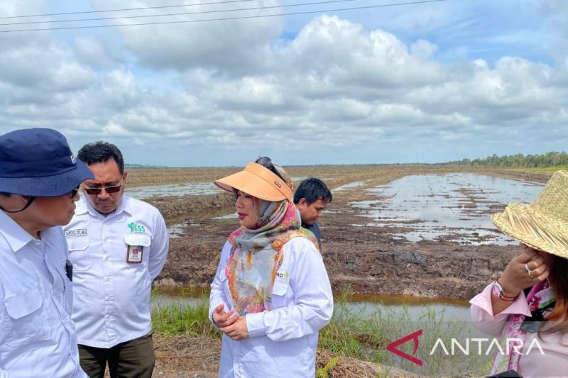 Tim Kementerian Pertanian meninjau lokasi pembangunan pertanian modern di Kecamatan Dadahup, Kabupaten Kapuas, Provinsi Kalimantan Tengah. ANTARA/HO-Kementan