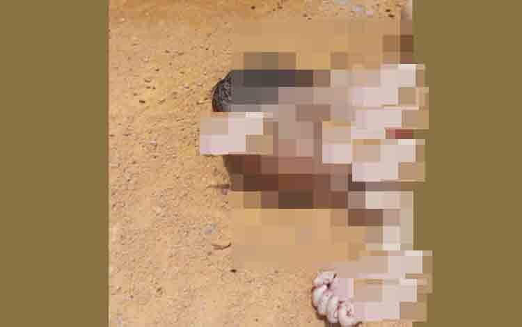 Warga Kotim Temukan Jenazah Bayi dalam Kondisi Mengenaskan
