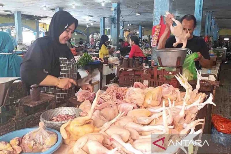 Harga Komoditas di Kobar per 21 Oktober 2024 Stabil