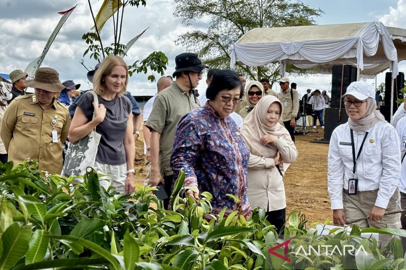 Dinas Kehutanan Kalsel Kembangkan Hutan Rakyat untuk Ketahanan Bencana
