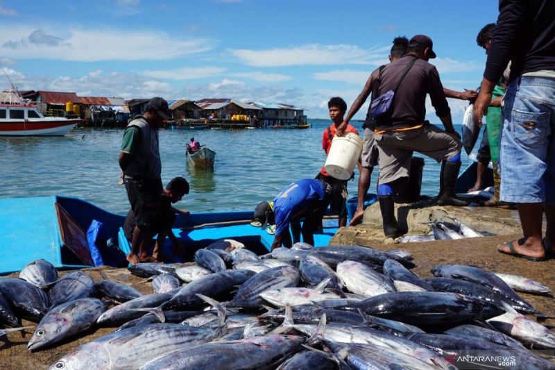 Potensi Ekonomi Biru Indonesia, Dari Perikanan hingga Ekowisata