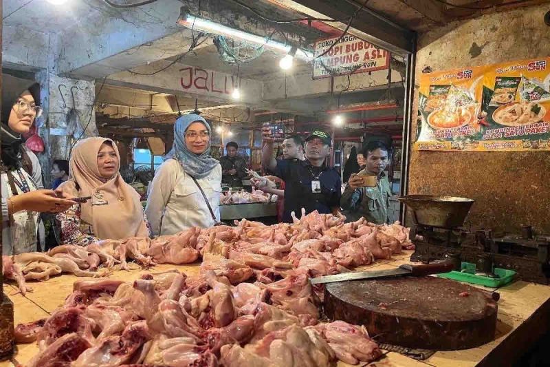 Pergerakan Harga Pangan 15 Oktober, Daging Ayam Naik Signifikan