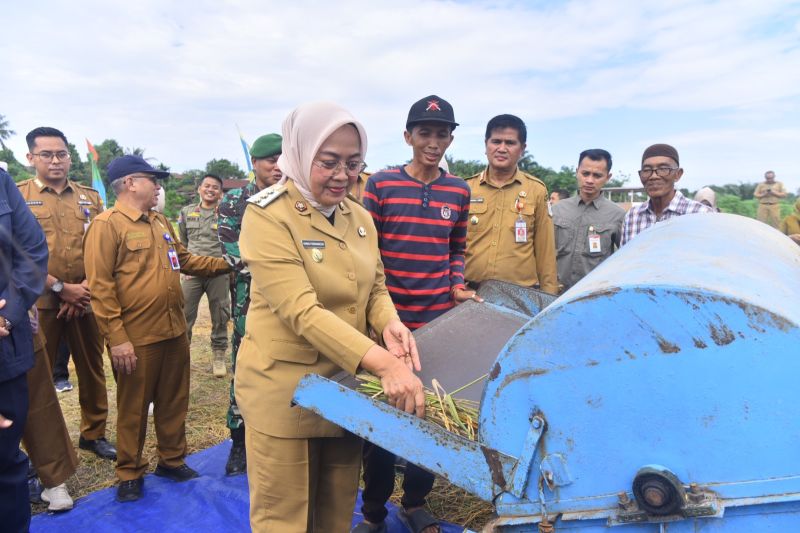 Pemkot Jambi Optimalkan Pertanian untuk Ketahanan Pangan Lokal