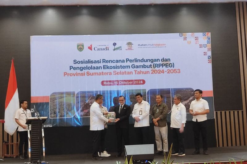 Sosialisasi RPPEG 2024-2053 untuk Lindungi Ekosistem Gambut