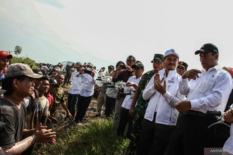 Rencana Matang Penting untuk Keberhasilan Program Food Estate