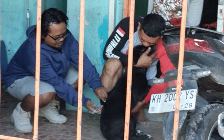Capaian Vaksinasi Rabies di Palangka Raya Baru Mencapai 3.000 Ekor HPR
