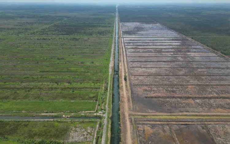 Wamentan: Petani Muda Diperlukan Dalam Mewujudkan Swasembada Pangan