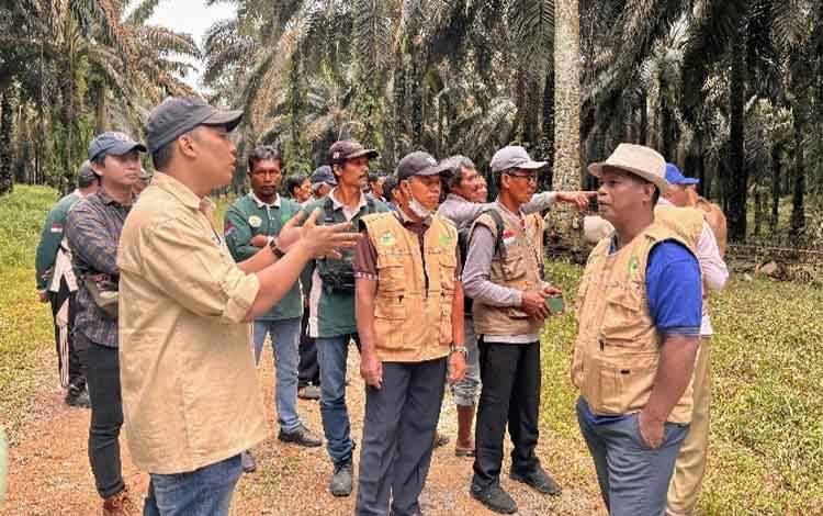 Pelatihan Budidaya Ternak Sapi oleh PT SSMS Tbk dan USAID SEGAR