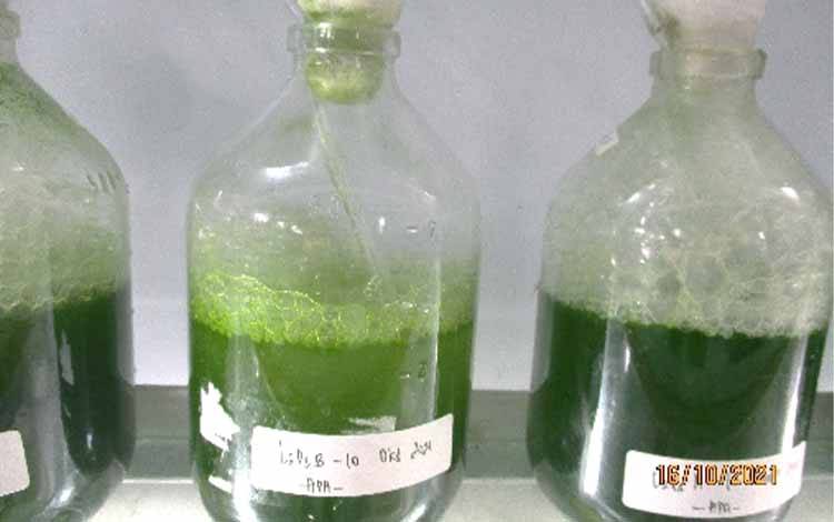 The Unknown Super Hereos: Si Kecil Pemberi Kehidupan