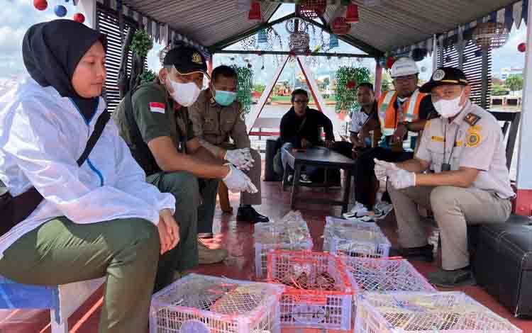 3 Ekor Burung Dilindungi dan Puluhan Burung Sitaan dalam Truk Menuju Surabaya Dilepasliarkan di Kotim
