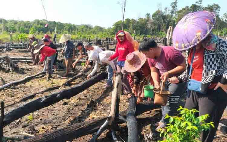 BPP Paju Epat Hadiri Tanam Perdana Padi Gogo di Desa Siong