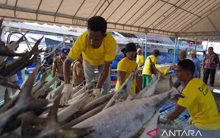 KKP: Aspek Sosial Ekonomi Penting dalam Kelola Tuna Berkelanjutan