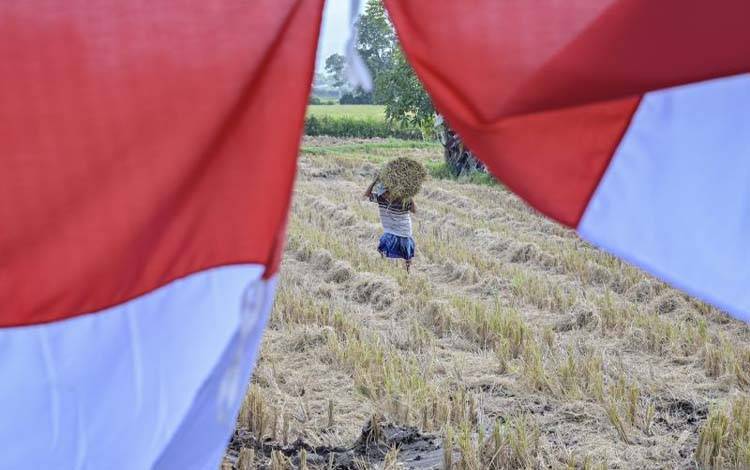 Urgensi Pencetakan Sawah Berkualitas