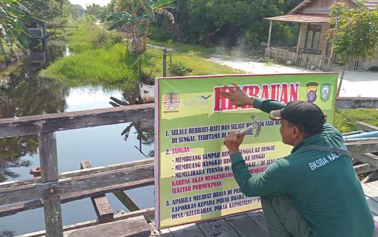 BKSDA Sampit Pasang Spanduk Imbauan Cegah Konflik Buaya dengan Manusia