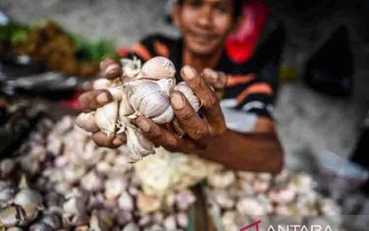 Harga Bawang Putih Naik, Bawang Merah Turun di Pangkalan Bun, Berikut Rincian Harga Komoditas Lain