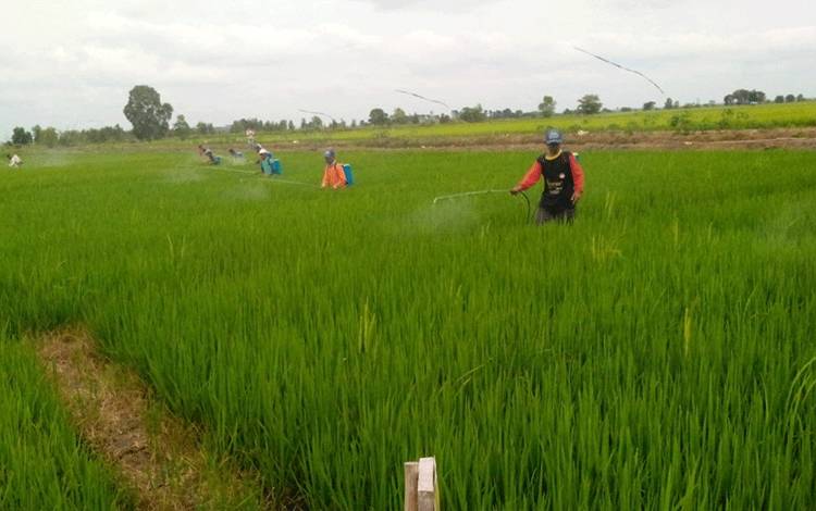 Kredit Usaha Rakyat sebagai Solusi Modal Petani