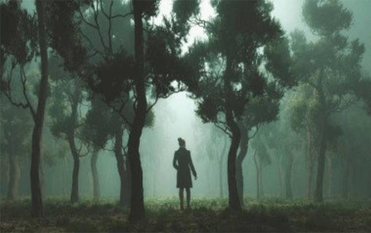 Sudah Dua Hari ini Perempuan di Desa Sei Ubar Mandiri Hilang Misterius di Hutan