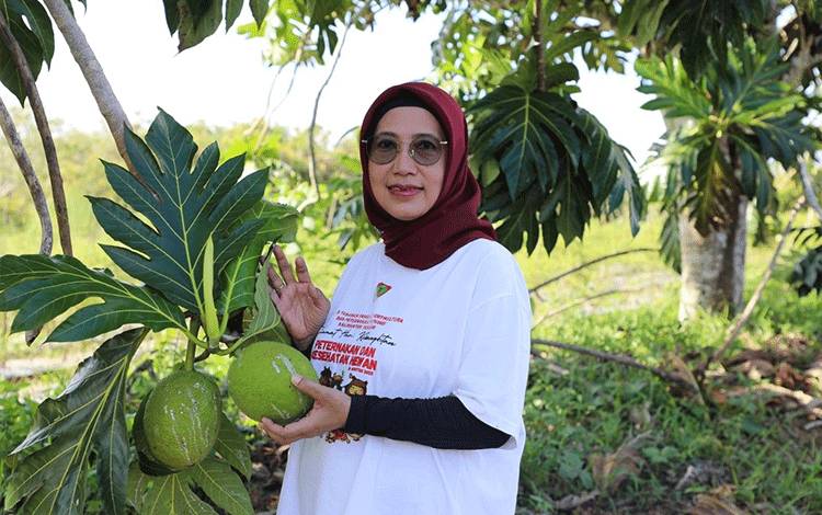 Dinas TPHP Kalteng Pastikan Perkembangan Program Green House