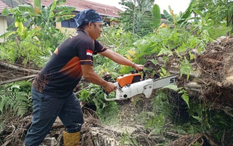 BPBD Palangka Raya Tangani Pohon Rawan Tumbang di Bukit Tunggal