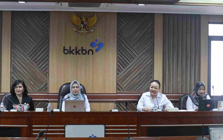 DP3APPKB Kalteng Konsultasikan Penyusunan GDPK