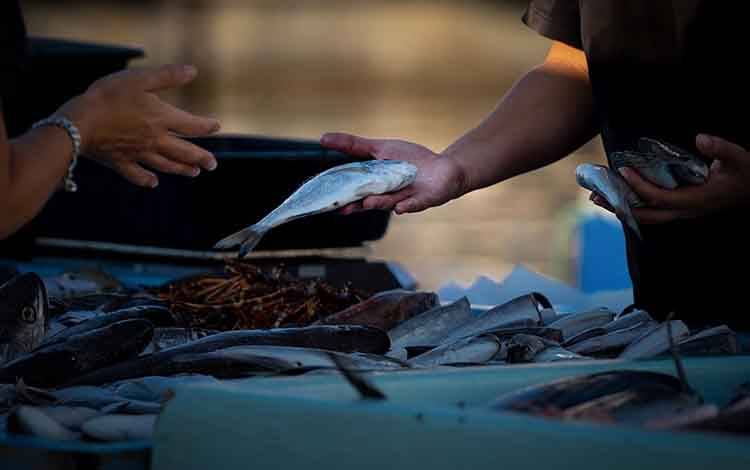 Diskan Palangka Raya Dorong Masyarakat Konsumsi Ikan