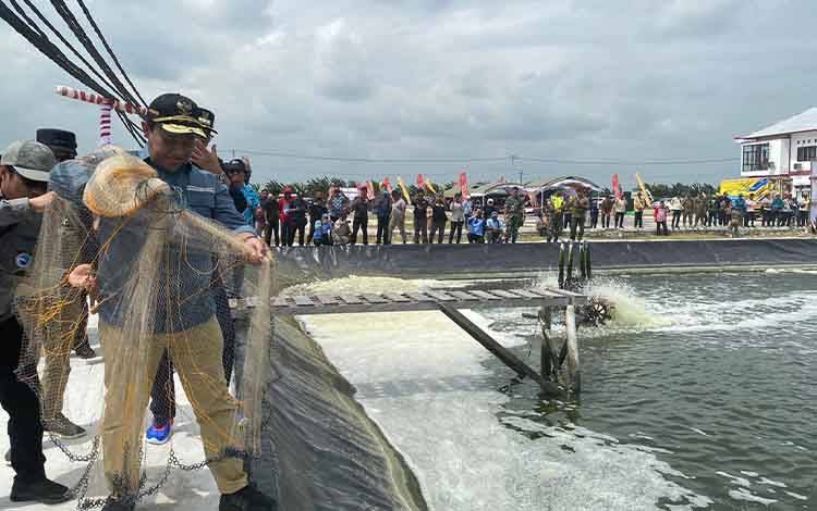 Diskan Sukamara Akan Tebar 14 Ribu Benih Bandeng