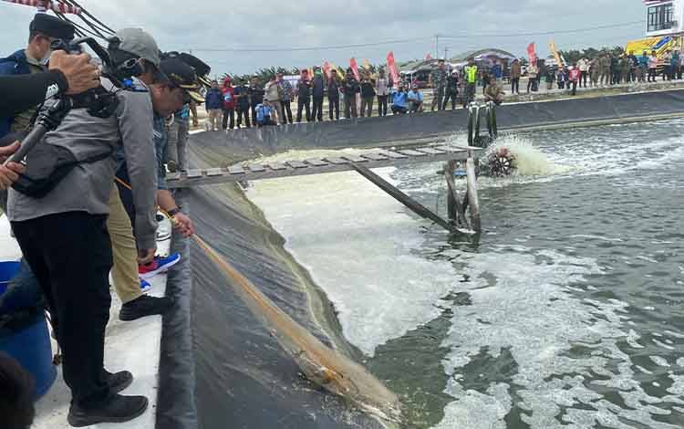 Diskan Sukamara Jadikan Bandeng Asap Makanan Khas Daerah