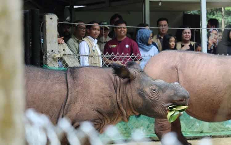 Menhut: Total Lima Badak Telah Lahir di Suaka Rhino Sumatera