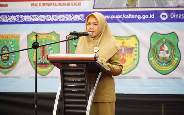 Pemprov Kalteng Pastikan DAK Bidang Jalan Kalteng Tersinkron