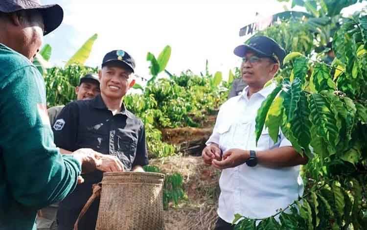 Desa Kahingai Diharapkan jadi Sentra Pengembangan Budi Daya Kopi