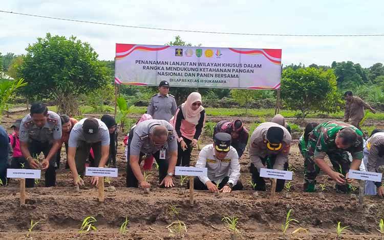 Lapas Sukamara Gelar Penanaman Jagung Lanjutan Program Ketahanan Pangan
