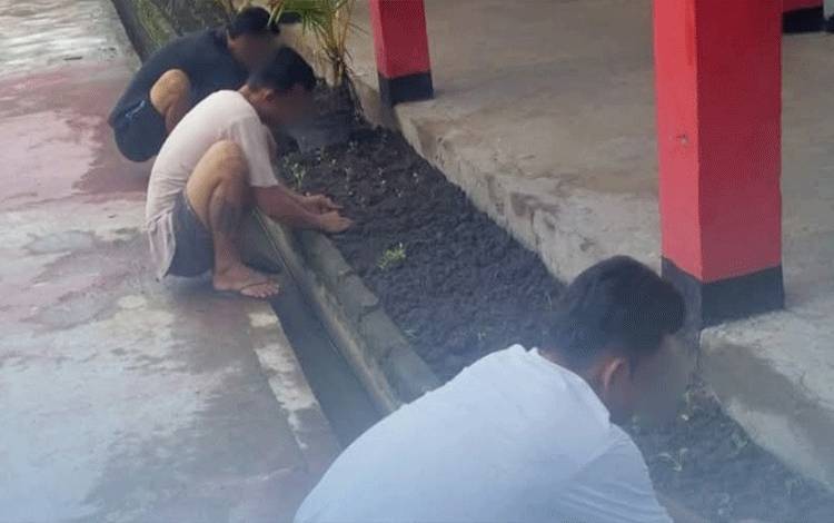 Pembinaan Keterampilan, WBP Rutan Kapuas Tanam Sawi