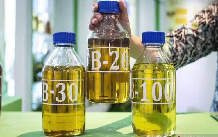 Kelapa Sawit, Pilar Utama Energi Terbarukan