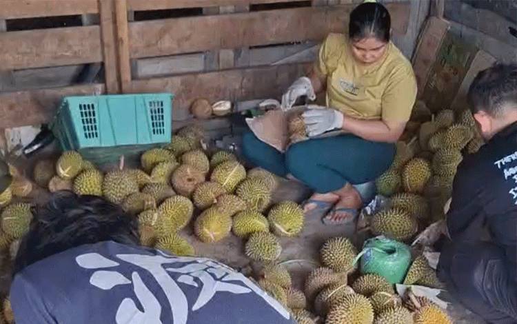 Durian Asal Kapuas Ramaikan Jalan RTA Milono Palangka Raya, Pedagang Raup Omset Jutaan Rupiah