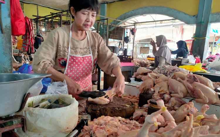Daging Ayam Ras Komoditas Penyumbang Inflasi di Kotim Tahun 2024