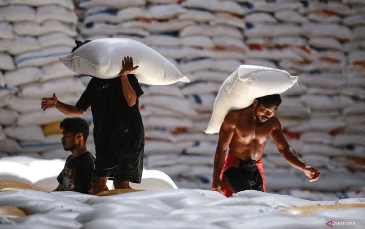 Beras Khusus yang Diproduksi di Dalam Negeri Tidak Kena PPN 12 Persen