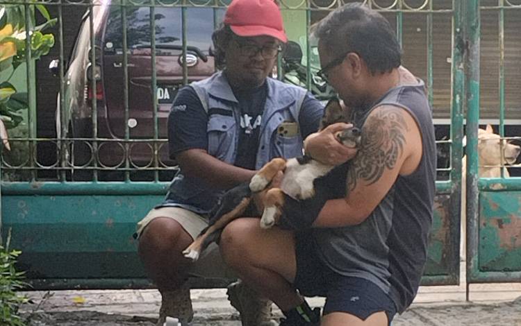 Vaksinasi Rabies di Palangka Raya Capai 8.000 Ekor