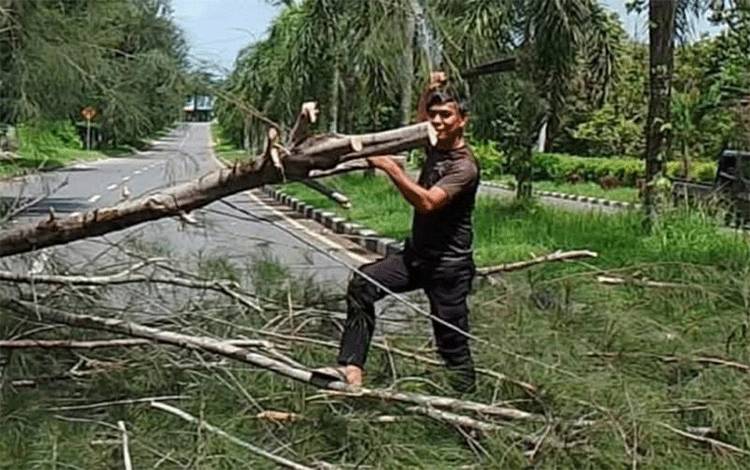 Dua Warga Meninggal Ditimpa Pohon Tumbang