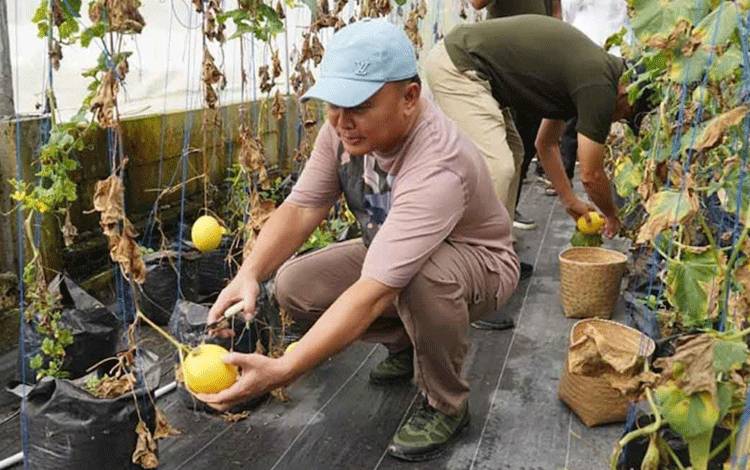 Kadisbun Kalteng Dukung Smart Green House Manfaatkan Teknologi