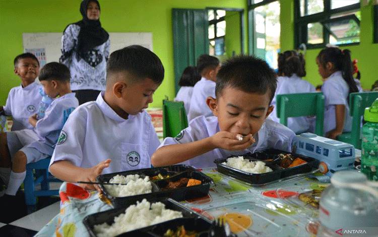 Ahli: Buah dan Sayur Penting Dalam MBG Karena Siswa Rentan Anemia