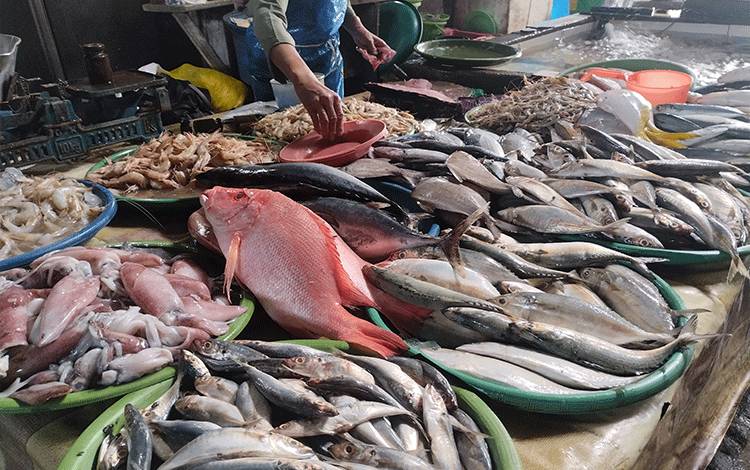 Desember 2024 Nilai Tukar Pembudidaya Ikan Alami Kenaikan 1,38 Persen