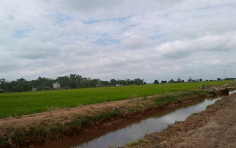 Usaha Rumah Tangga Pertanian di Kalteng Alami Kenaikan