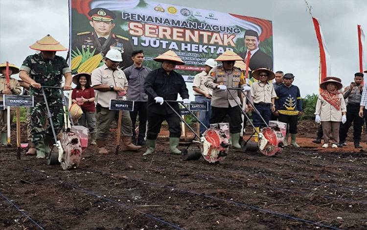 Kabupaten Kotim Gelar Tanam Jagung 1 Juta Hektare Serentak
