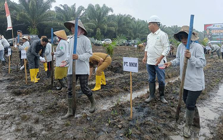 Dukung Ketahanan Pangan, PT MKM Tanam Jagung di Lahan Seluas 1,4 Hektar