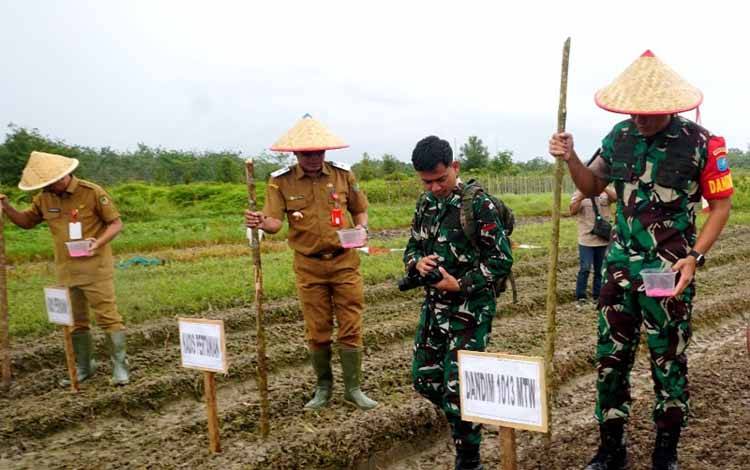 Pj Bupati Barito Utara Tanam Jagung Serentak di Desa Trahean