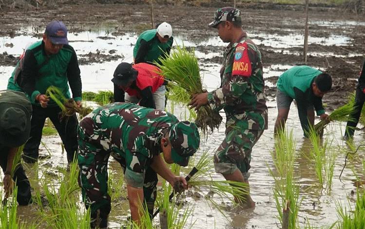 Kepala Desa Pulau Kaladan Sambut Baik Program Cetak Sawah